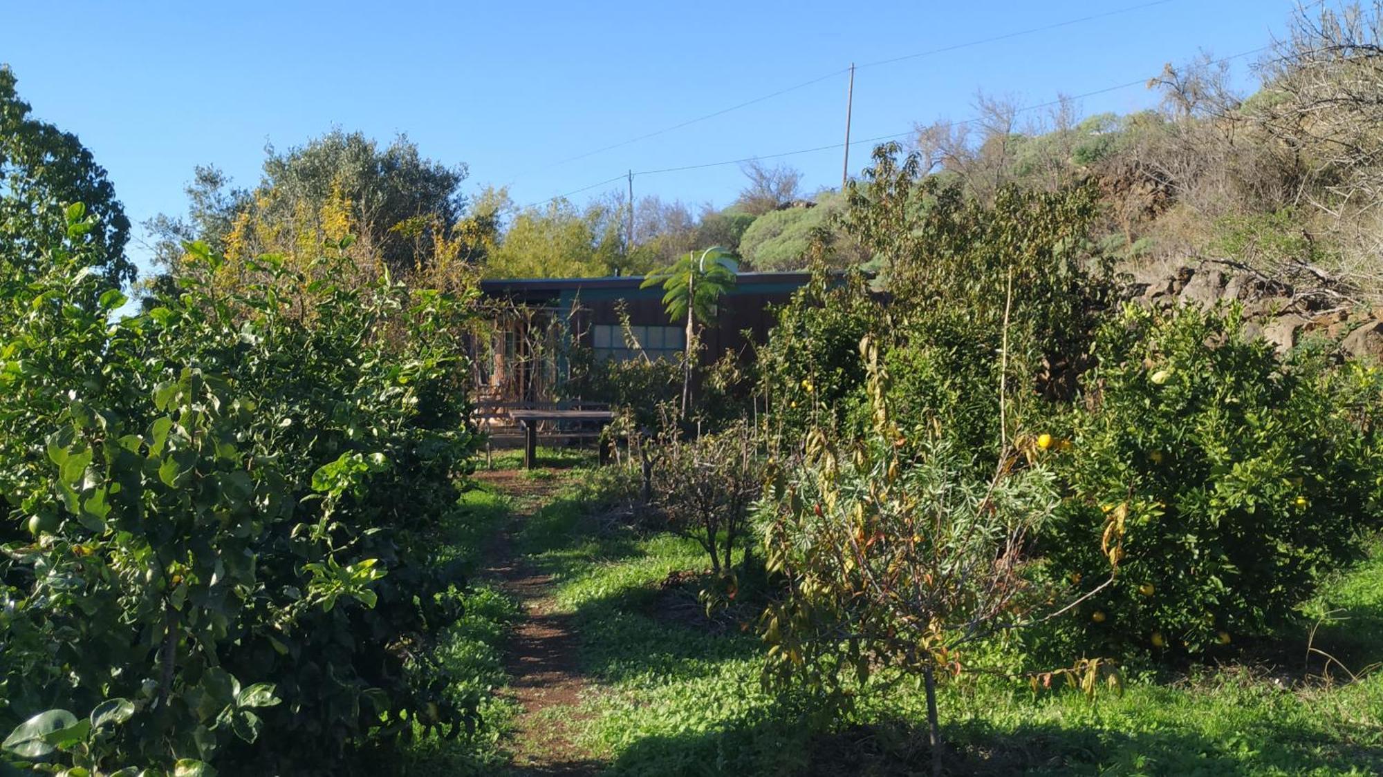 Finca Panorama Tijarafe Εξωτερικό φωτογραφία